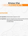 Niacinamide Serum Active Ingredients